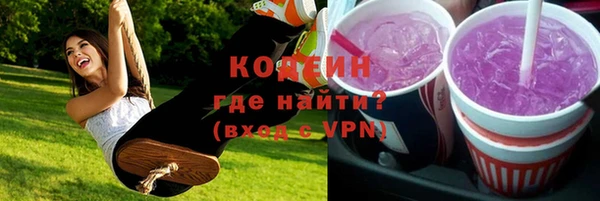 индика Михайловка