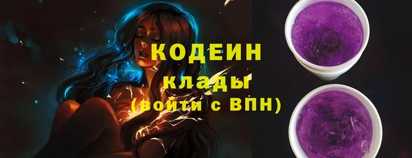 индика Михайловка