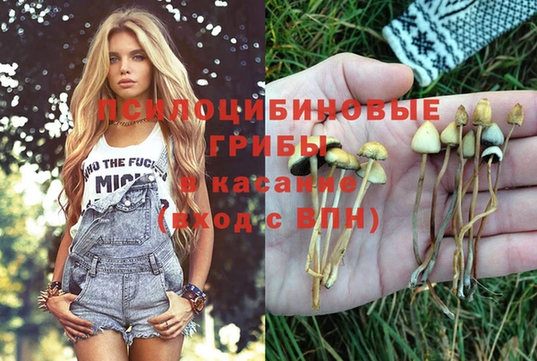индика Михайловка