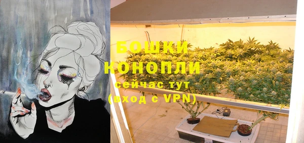 индика Михайловка