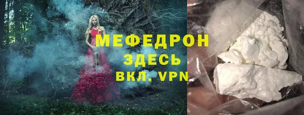индика Михайловка