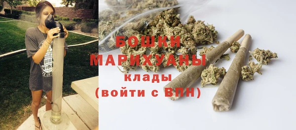 индика Михайловка