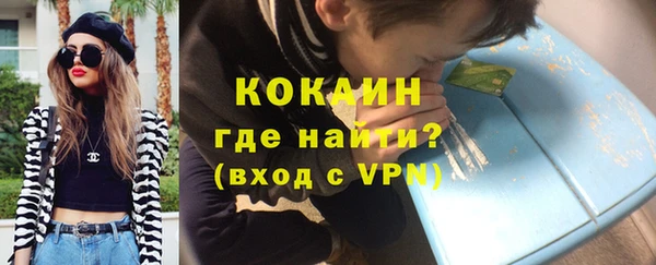индика Михайловка