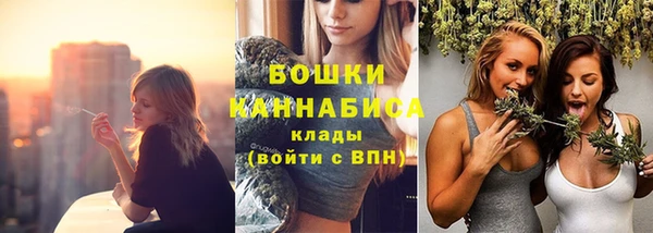 дмт Михайловск