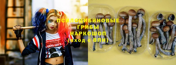 мяу мяу мука Михайлов