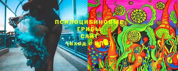 мяу мяу мука Михайлов
